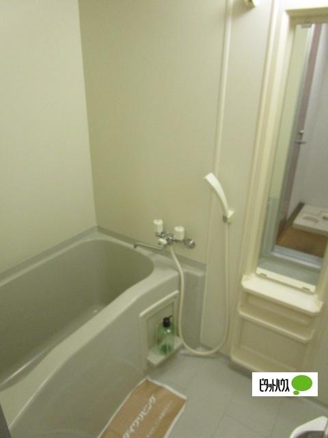 RISE COURT BW（601） 部屋画像
