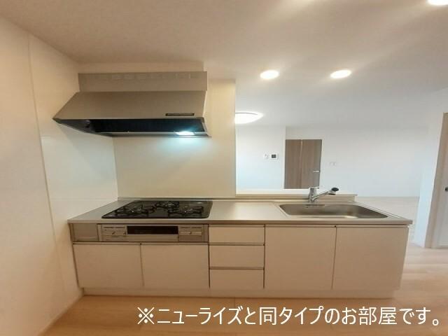 サンリットⅡ　（和歌山市内原）（101） キッチン
