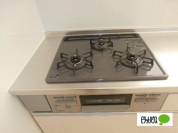 レセンテシャトー（105） 部屋画像