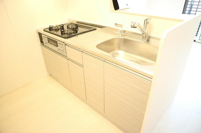 レジデンス フィーユ　B棟（B103） 部屋画像