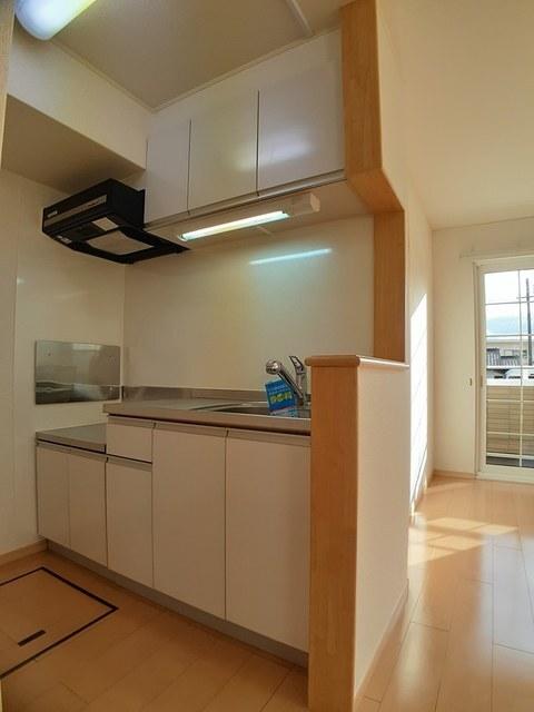 アヴェニール岩出Ⅱ（101） キッチン