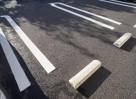 フロレゾンＣ（202） 部屋画像
