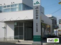 JAわかやまかせい支店：715m