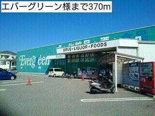 エバーグリーン様：370m