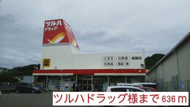 ツルハドラッグ様：636m