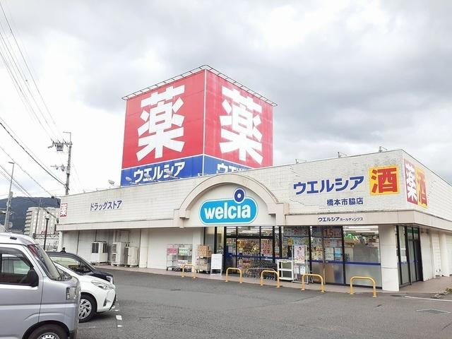ウエルシア橋本脇店様：1654m