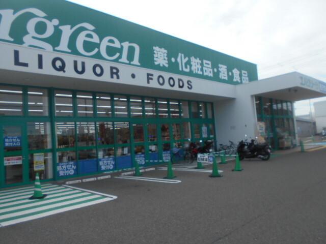 エバー・グリーン布引店様：1200m