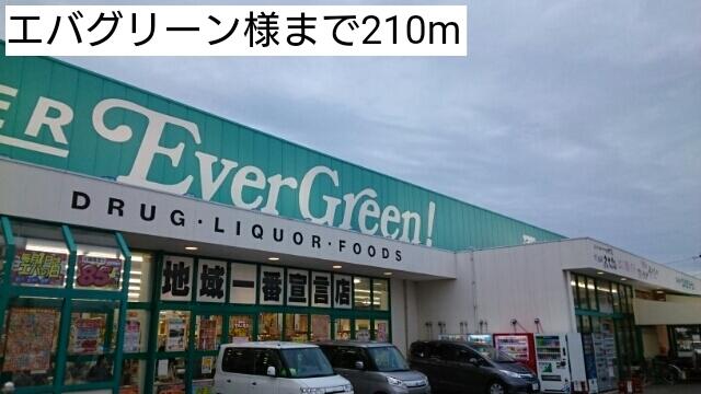 エバグリーン様：210m