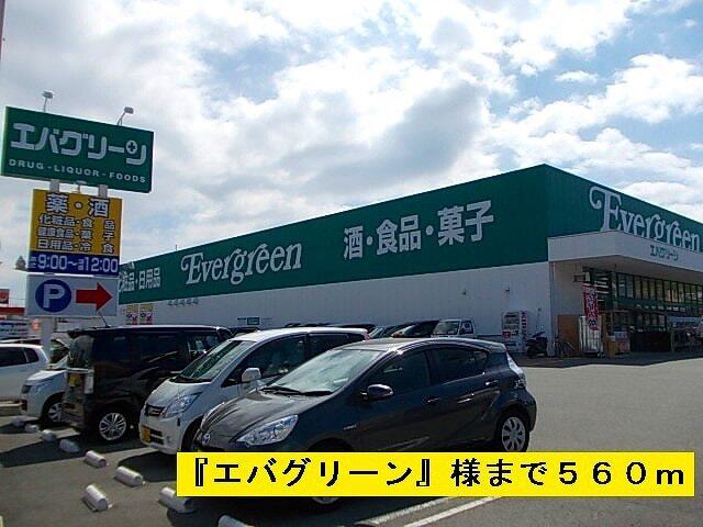 エバグリーン：560m