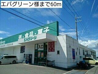 エバグリーン様：60m