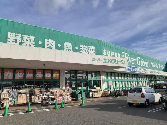 エバグリーン福島店様：600m