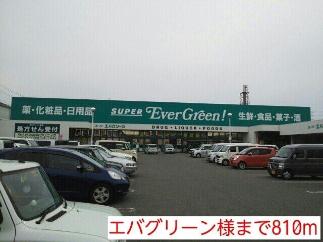 エバグリーン様：810m