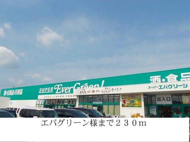 エバグリーン様：230m