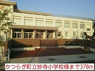 かつらぎ町立妙寺小学校様：370m