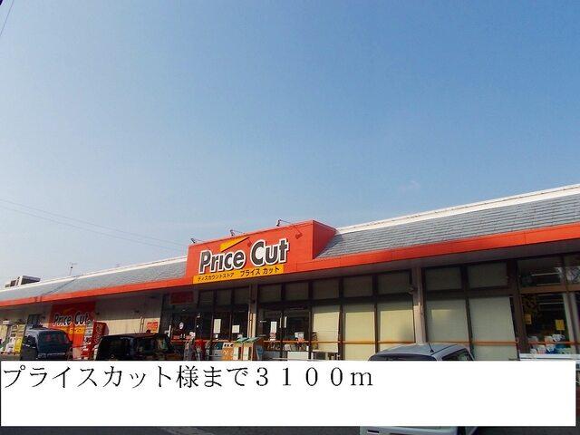 プライスカット：3100m