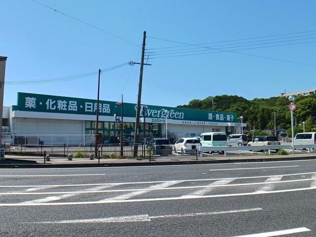 エバグリーン海南店様：800m