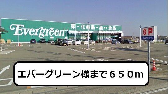 エバーグリーン様：650m