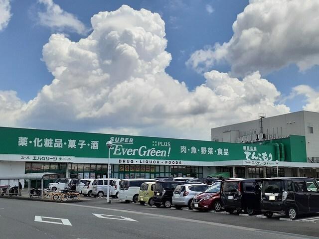 エバグリーン和歌山店様：1400m