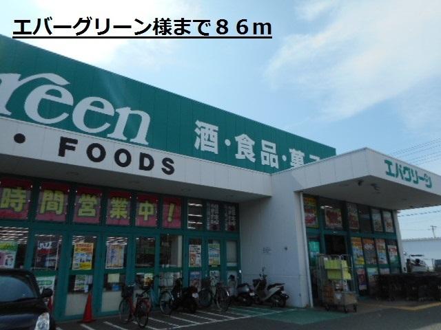 エバーグリーン様：86m