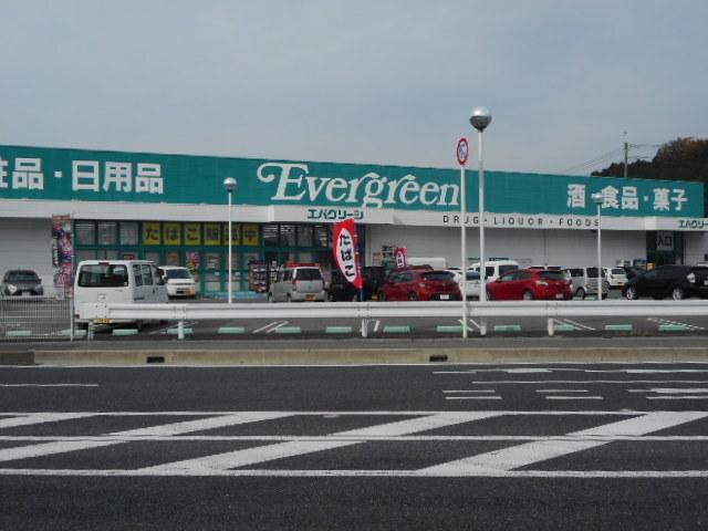 エバーグリーン海南店様：2000m