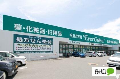 スーパーエバグリーン四ヶ郷店：524m