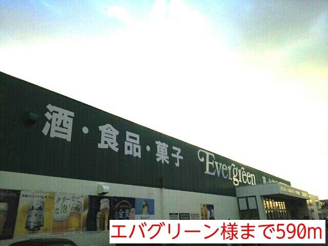 エバグリーン様：590m
