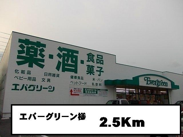 エバーグリーン様：2500m