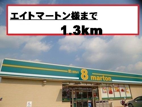 エイトマートン様：1300m
