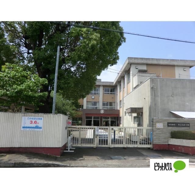 和歌山市立中之島小学校：539m