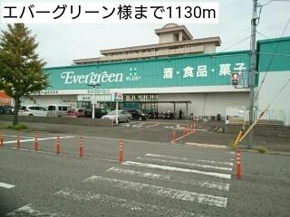 エバーグリーン様：1130m