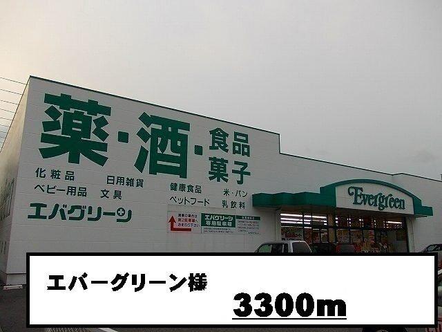 エバーグリーン様：3300m