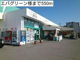 エバグリーン様：550m