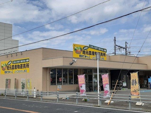 ＪＡわかやま愛菜てまりっこ様：600m