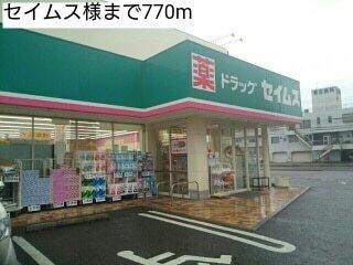 セイムス様：770m