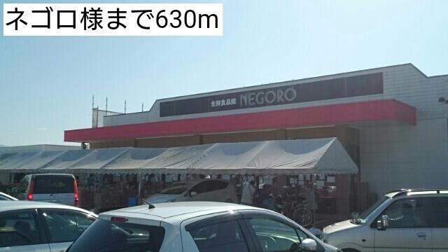 ネゴロ様：630m