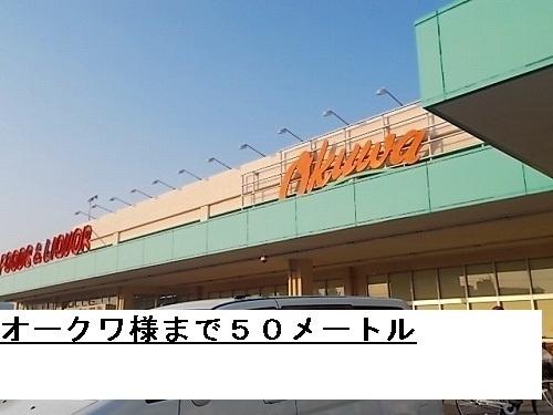 オークワ様：50m