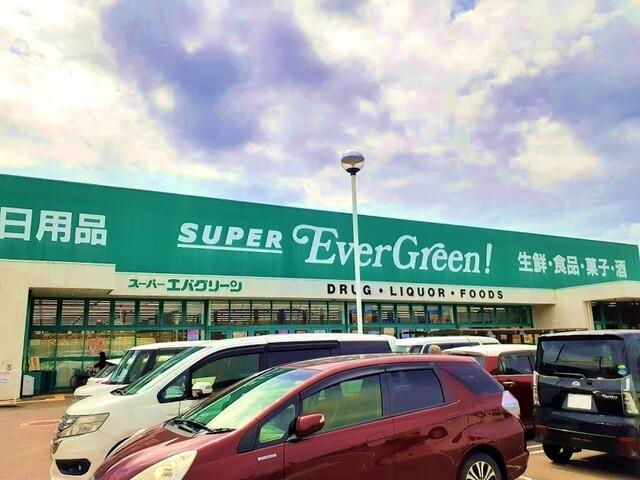 エバグリーン四ヶ郷店様：1200m