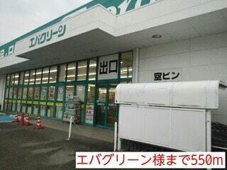 エバグリーン様：550m