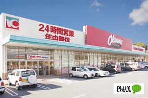 オークワ海南幡川店：1065m