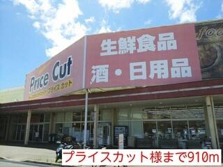 プライスカット様：910m