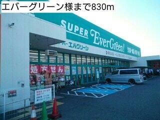 エバーグリーン様：830m