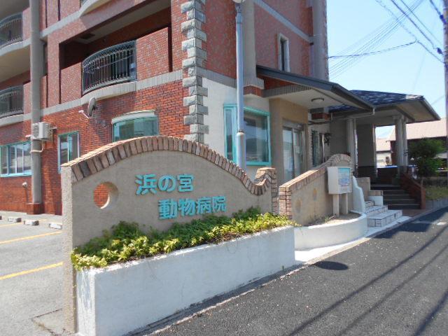 浜の宮動物病院様：300m