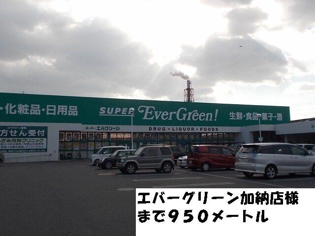 エバーグリーン様：950m