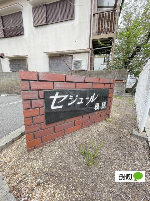 セジュール榎原　Ⅱ（210） その他