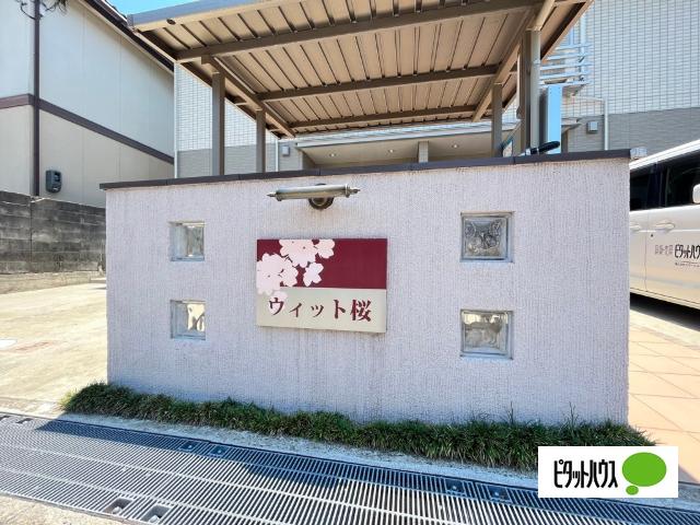 ウィット桜（101） その他