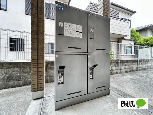 ドイスドゥアス（205） その他