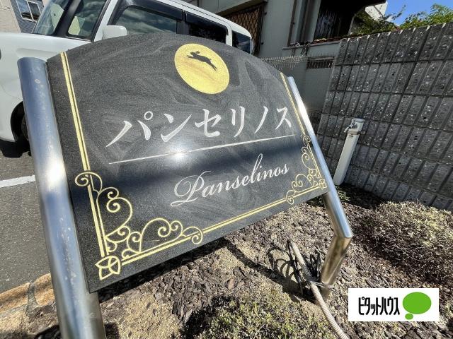 パンセリノス（202） その他