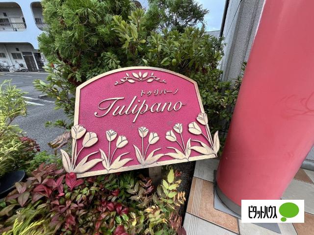 トゥリパーノ（106） その他