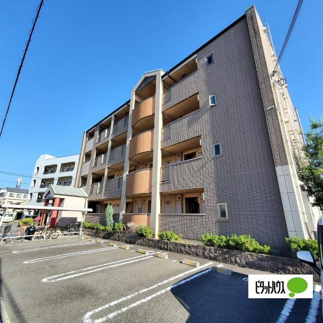 トゥリパーノ（302） その他