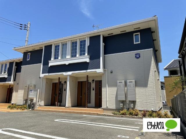 カテュルスフェリスⅢ（101） 外観